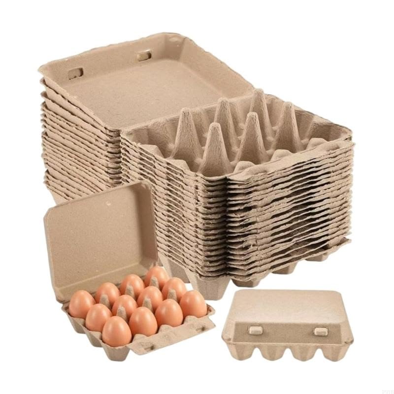 Egg Tray Factory