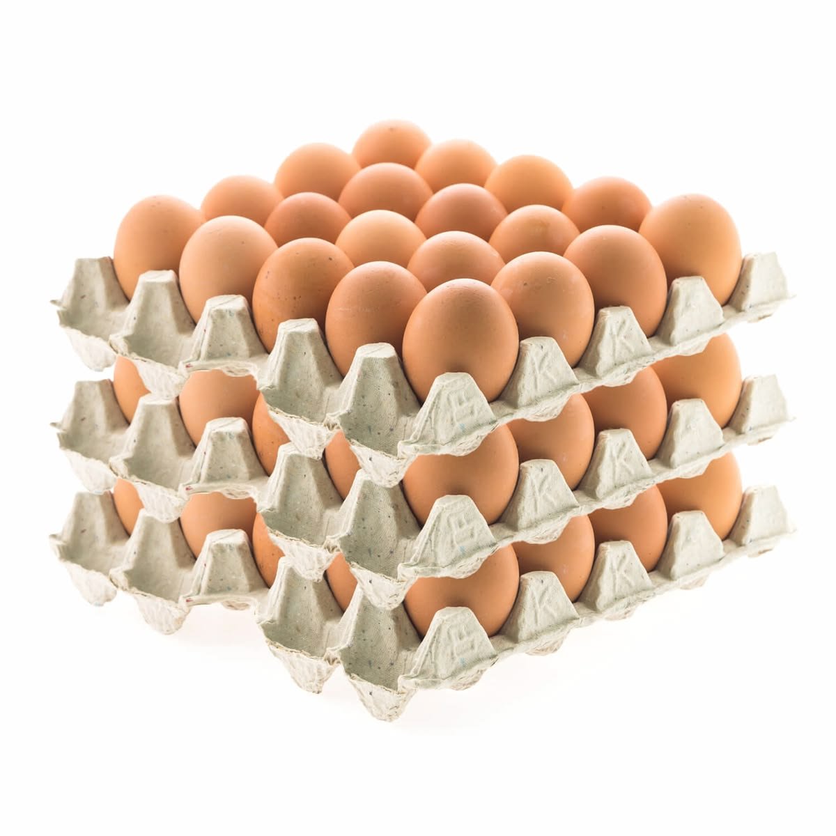 Egg Tray Manufacturing